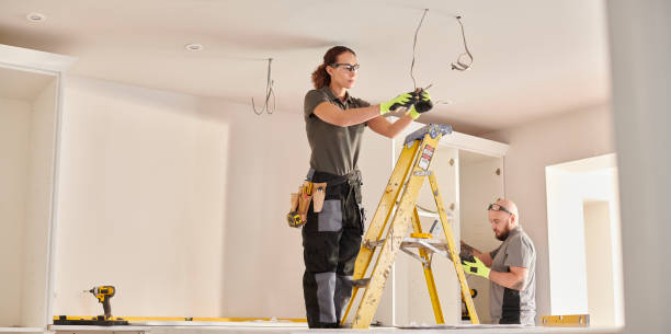 Best Electrical System Inspection  in Christopher, IL